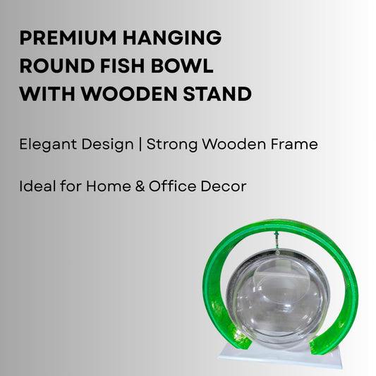 Double Bowl 6-inch Green Round Fish Bowl – Standing & Hanging Decorative Aquarium for Home & Office | 2-in-1 Double Bowl Round Fish Tank