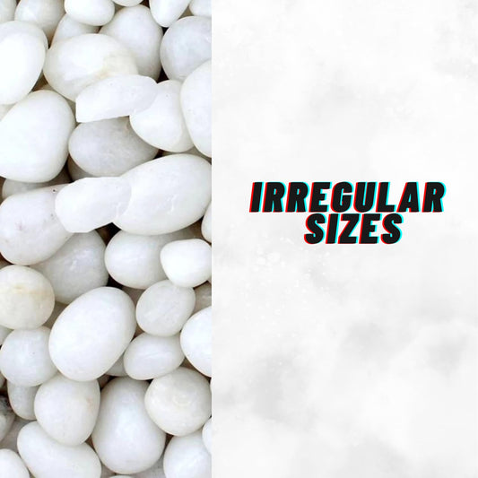 TUNAI Pebble Stones Substrate for Fish Tank, Aquarium, Terrarium, Paludarium (1KG) for Office and Home Decor, Plants and Other Purpose (White, Standard)