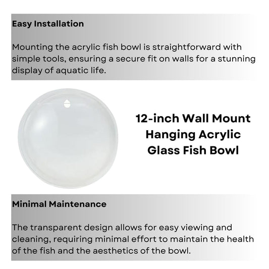 TUNAI Wall Mount Hanging Acrylic Aquarium Fish Tank | Glass 12-Inch Fish Bowl Suitable for Small Fish & Water Plants | Front - Transparent, Base -Multicolor | Best Fit for Home & Office Spaces
