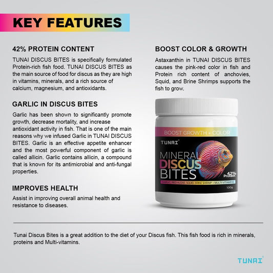 TUNAI Discus Bites Special Fish Food for All Types of Discus Varieties, Boost Color + Growth, Has The Benefits of Garlic, Red Algae, Brine Shrimp. (100g, Discus Bites with Garlic)
