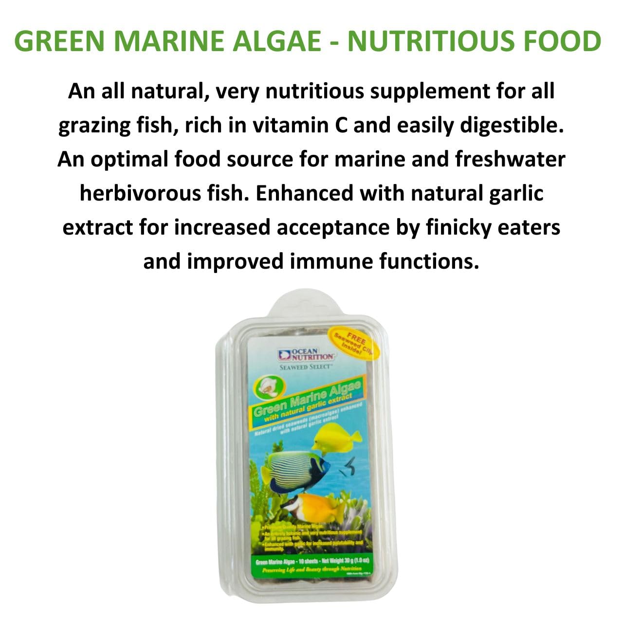 ON+ Green Marine Algae with Natural Garlic Extract 30g | Originally from TUNAI Store