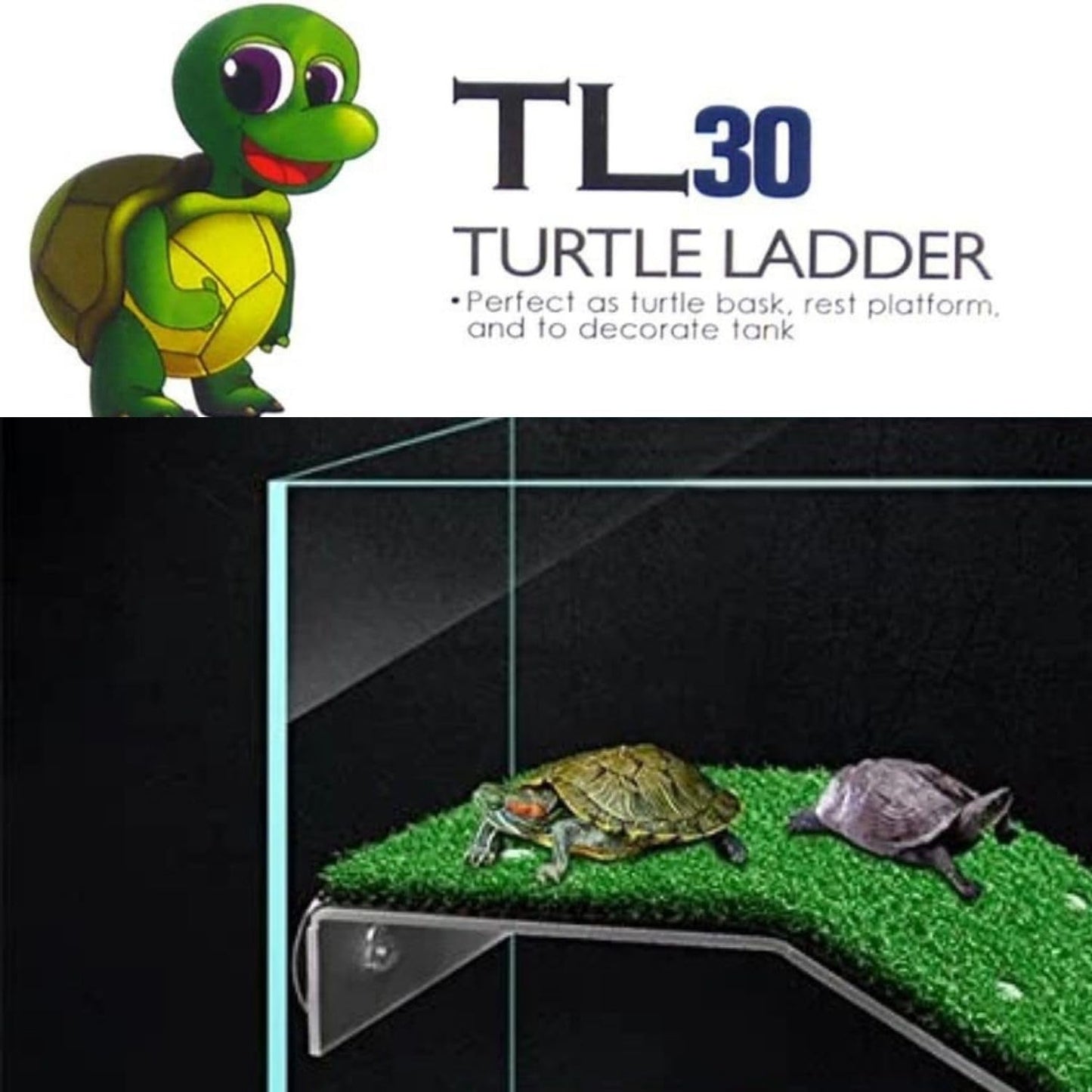 TUNAI Dophin TL 30 Acrylic Turtle Ladder (Original from Store) (Acrylic, Green)