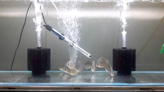 Sobo Sb-933 Aquarium Sponge Filter (X-Small)