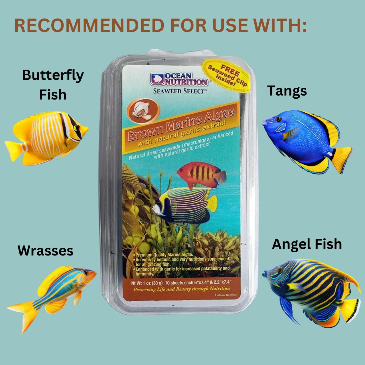 ON+ Brown Marine Algae with Natural Garlic Extract Fish Food (Original from Tunai Store) Marine Algae (30gms, Brown Marine Algae)