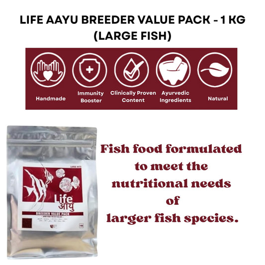 Life AAYU Breeder Value Pack Premium Fish Food | Ideal Choice for Keeping Your Fish Healthy (1 KG, Large Bits)