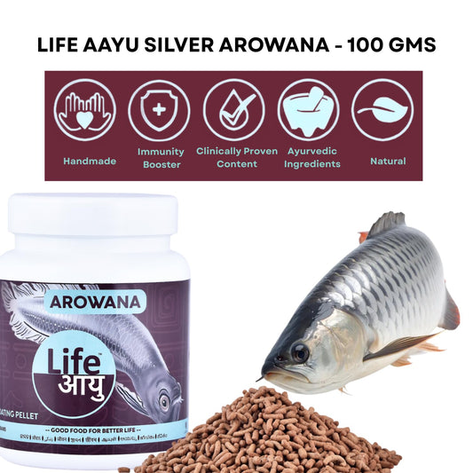 Life AAYU Silver Arowana Aquarium Fish Food | Designed to Improve Muscle, Bone, and Overall Body Strength | Best for Silver Arowanas (100 GMS)