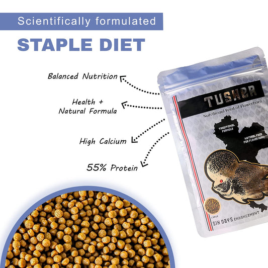 TUNAI SF+ Tusker Flowerhorn Special Fish Food | 100 G| Fish Feed Fortified with 55% Protein, Guaranteed Hump Enhancement in Six Days, Large Pellets Suitable for Adult Flowerhorn