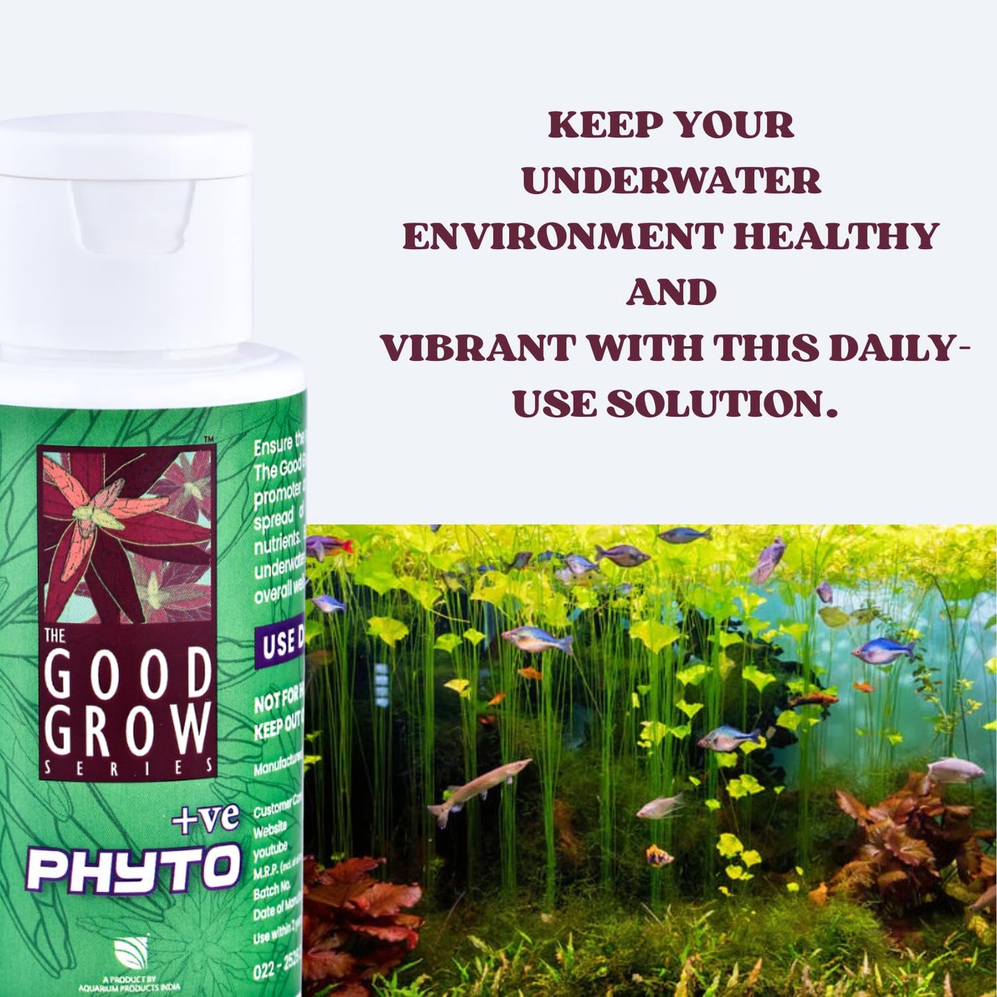The Good Grow Series PHYTO +ve | Promote Healthy Aquatic Plants | Support the Health and Vitality of your Aquatic Plants (50 ml)