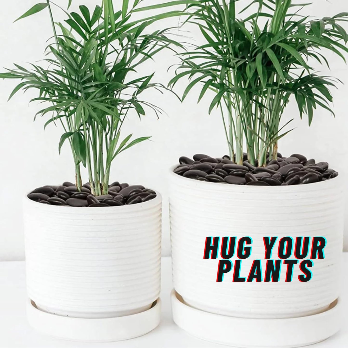 TUNAI Pebble Stones Substrate for Fish Tank, Aquarium, Terrarium, Paludarium (1KG) for Office and Home Decor, Plants and Other Purpose (Black Only, Standard)