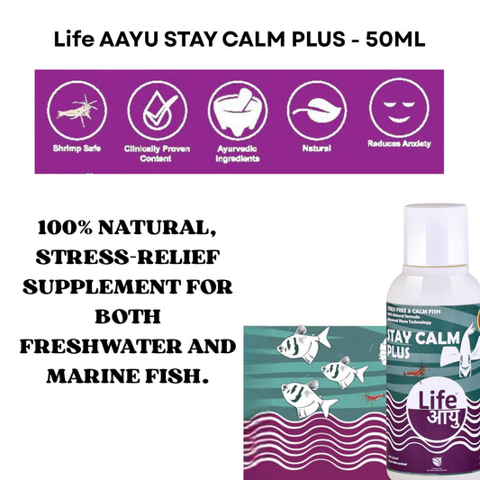 Life AAYU Stay Calm Plus Fish Food Supplement | Suitable for All Freshwater and Marine Fish | Improves Resistance to Infection | (50 ml)