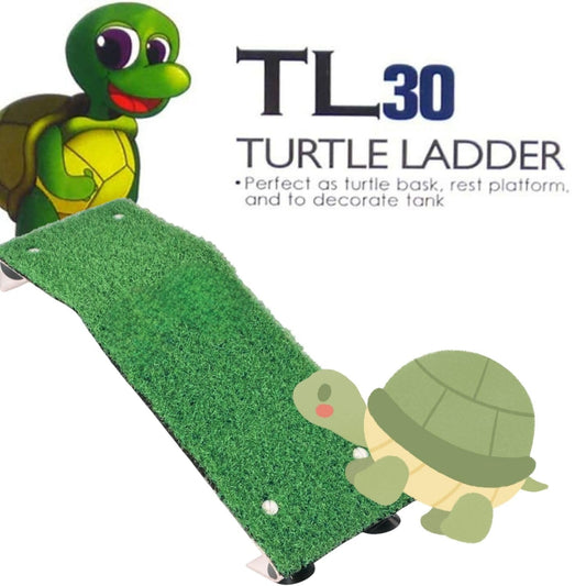 TUNAI Dophin TL 30 Acrylic Turtle Ladder (Original from Store) (Acrylic, Green)