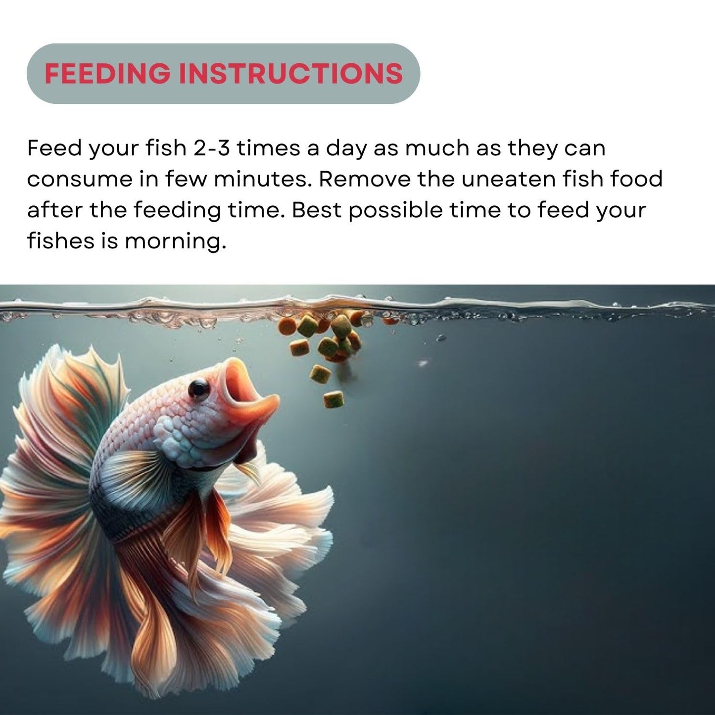 SF+ Red Fin Betta Pellets Fish Food | Specially Formulated for Betta Fish | Originally from TUNAI Store (25gms, Pellets)