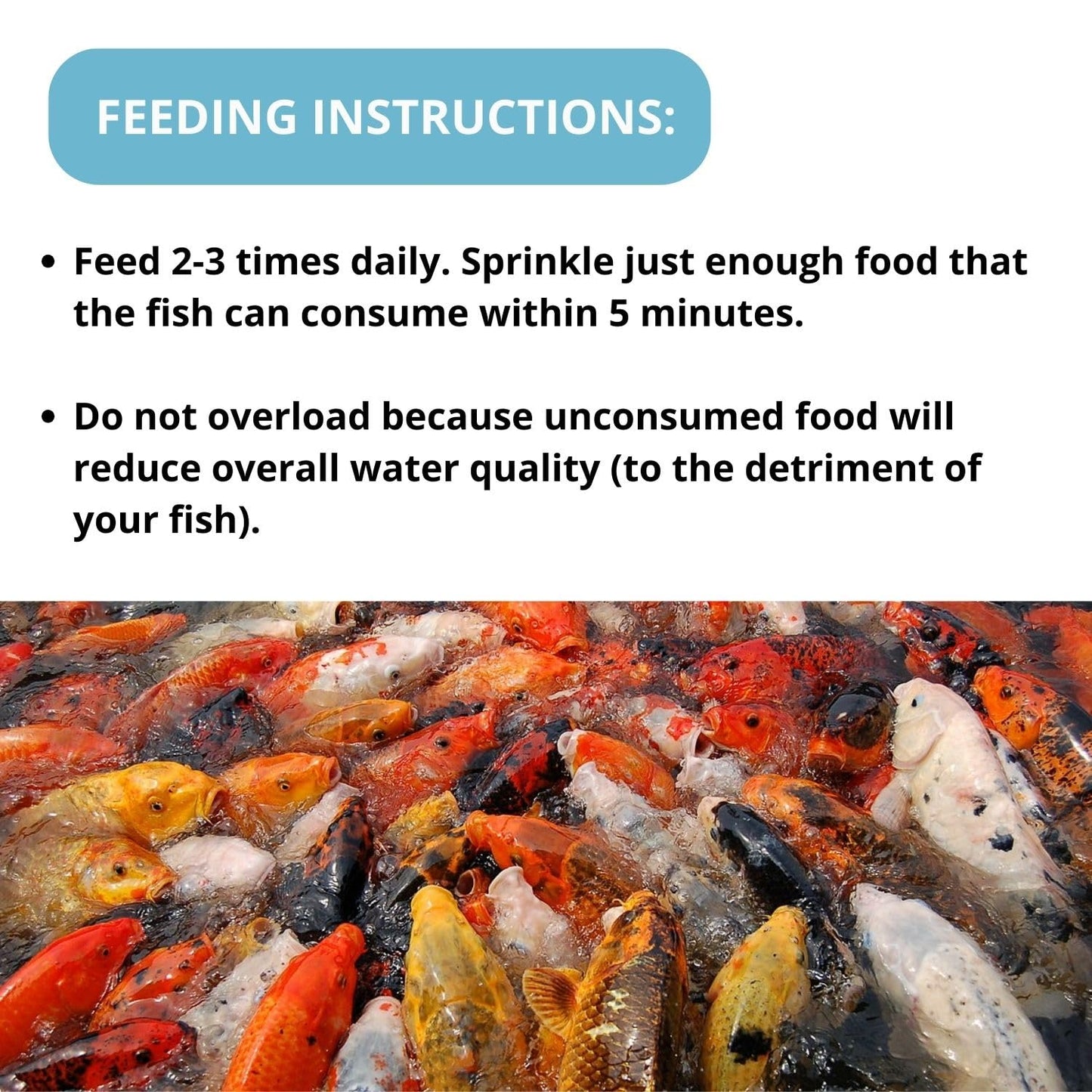 Optimum HI-PRO Wheat Germ Specialist's Koi Fish Food (Original from TUNAI Store) (1.5 Kg, Large Pellets)