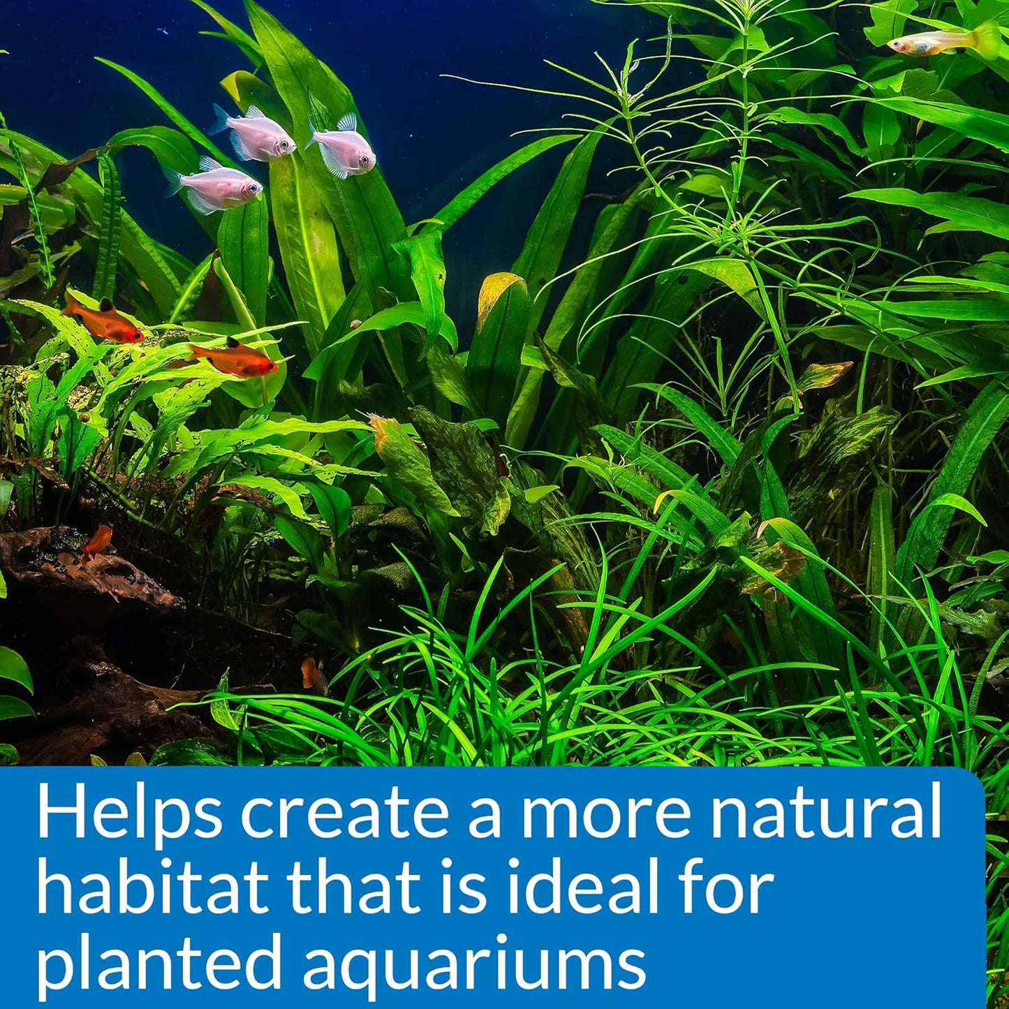 Aquarium Pharmaceuticals, API, MARS Fishcare Gh and Kh Test Kit