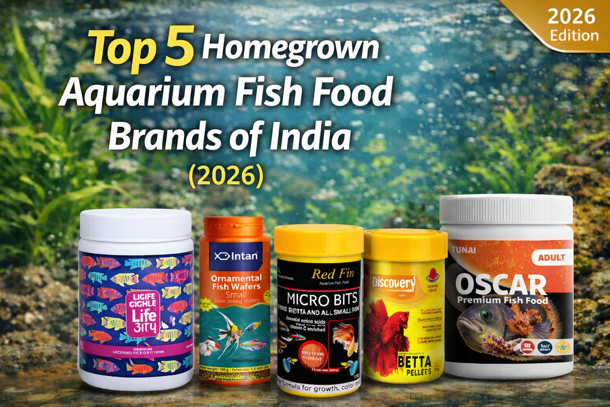 Top 5 Best Fish Food in India – Homegrown Brands – TUNAI - Love for Pets