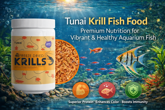 best-fish-food