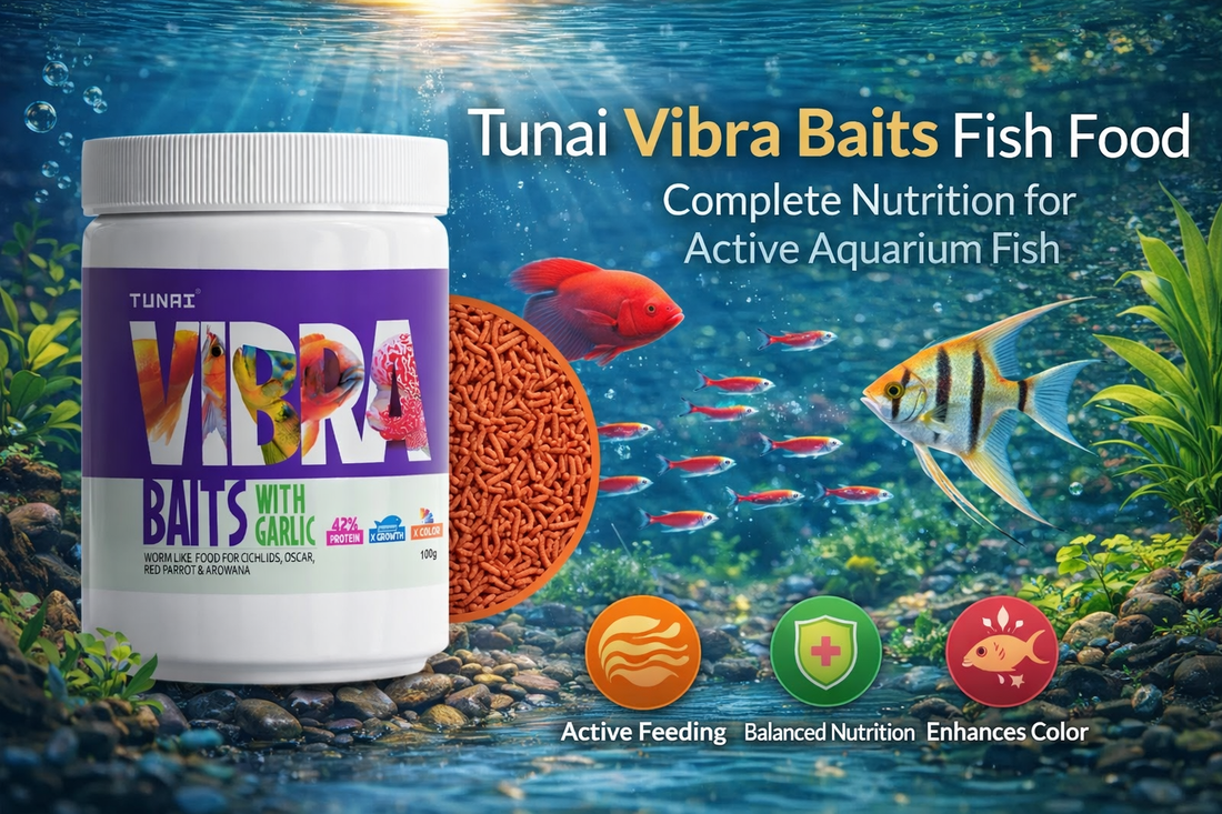 best-fish-food