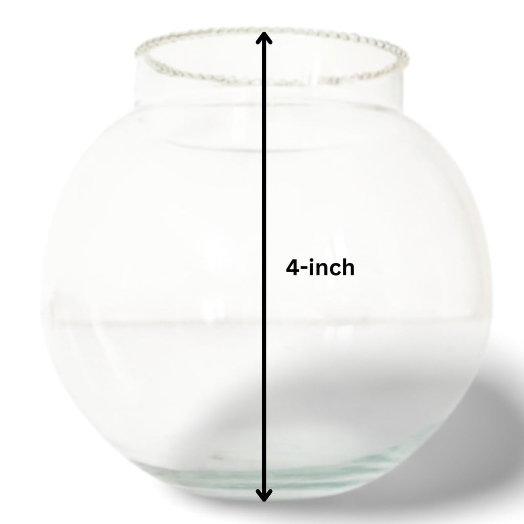 4-inch Glass Fish Bowl with Neck Collar, Suitable for Small Fish, Plants | Optimum Fish Tank Choice for Office & Home Decor