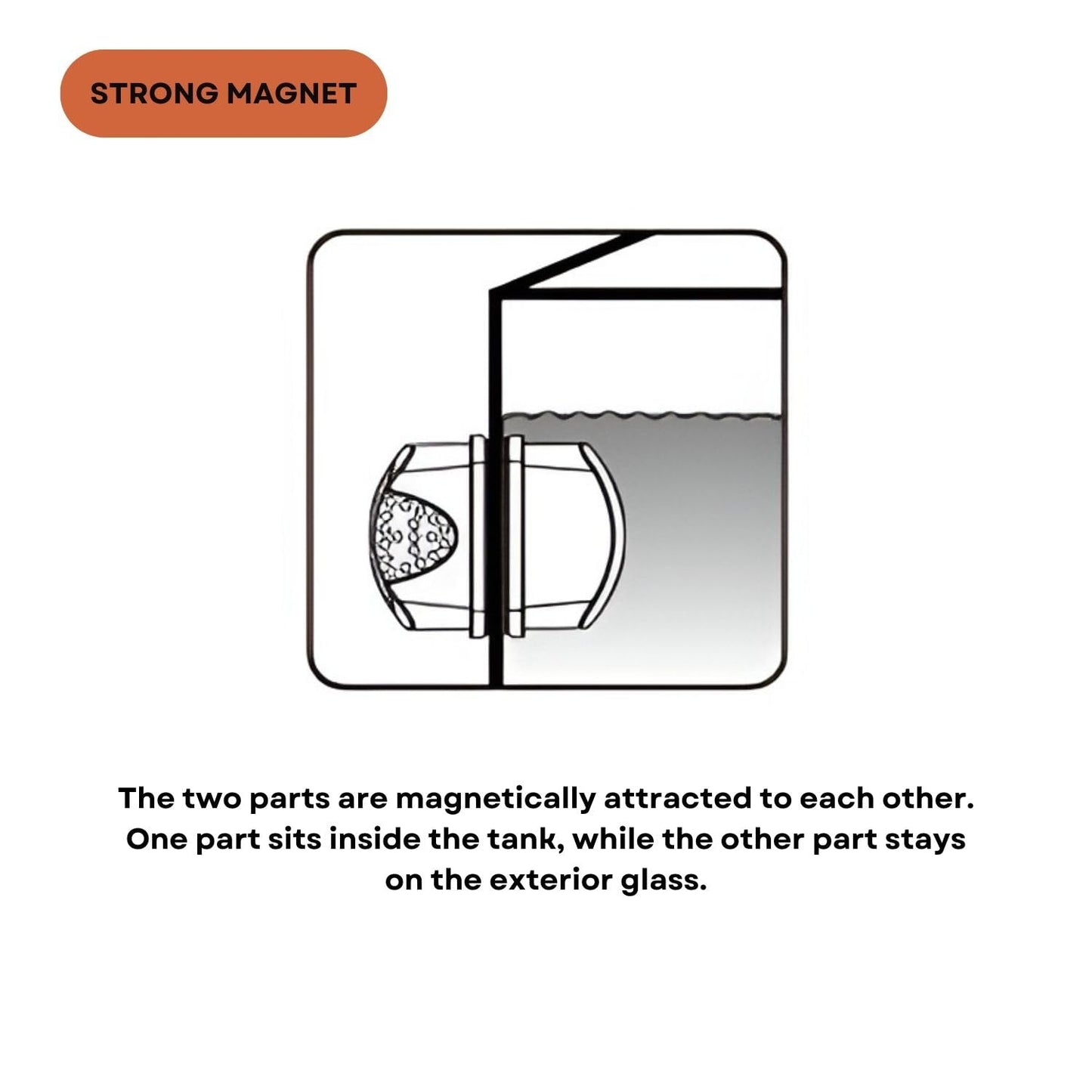 Dophin FM004(L) Magnet Cleaner with Blade for Aquarium Fish Tank | Innovative Tool | High Strength Magnets | Contoured Grip | (Original from Tunai Store)