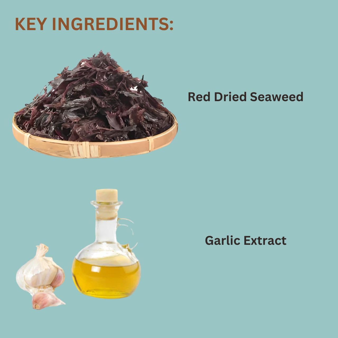 ON+ Red Marine Algae with Natural Garlic Extract Fish Food (Original from Tunai Store) Marine Algae (20gms, Red Marine Algae)