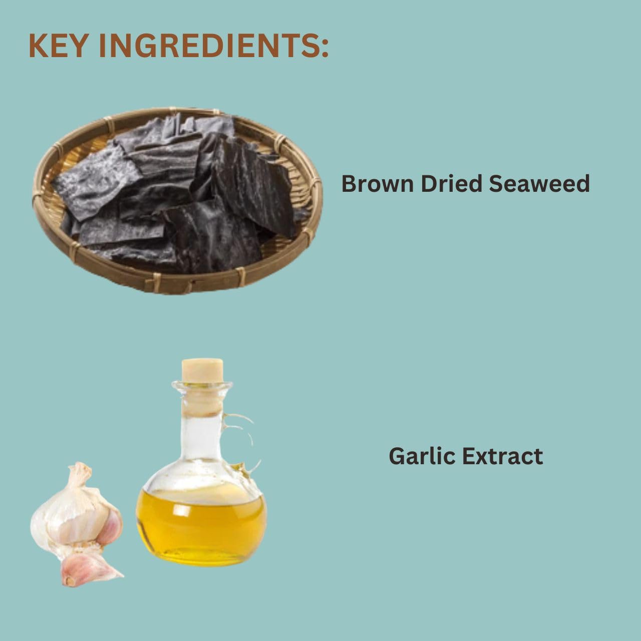 ON+ Brown Marine Algae with Natural Garlic Extract Fish Food (Original from Tunai Store) Marine Algae (30gms, Brown Marine Algae)