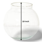 10-inch Glass Fish Bowl with Neck Collar, Suitable for Small Fish, Plants | Optimum Fish Tank Choice for Office & Home Decor