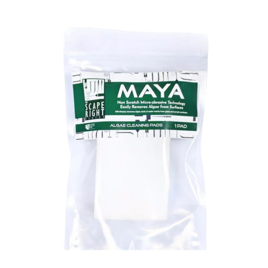 The Scape Right Series MAYA Algae Cleaning Pads for Aquarium | Safe for Acrylic & Glass Aquariums (1 Pad)