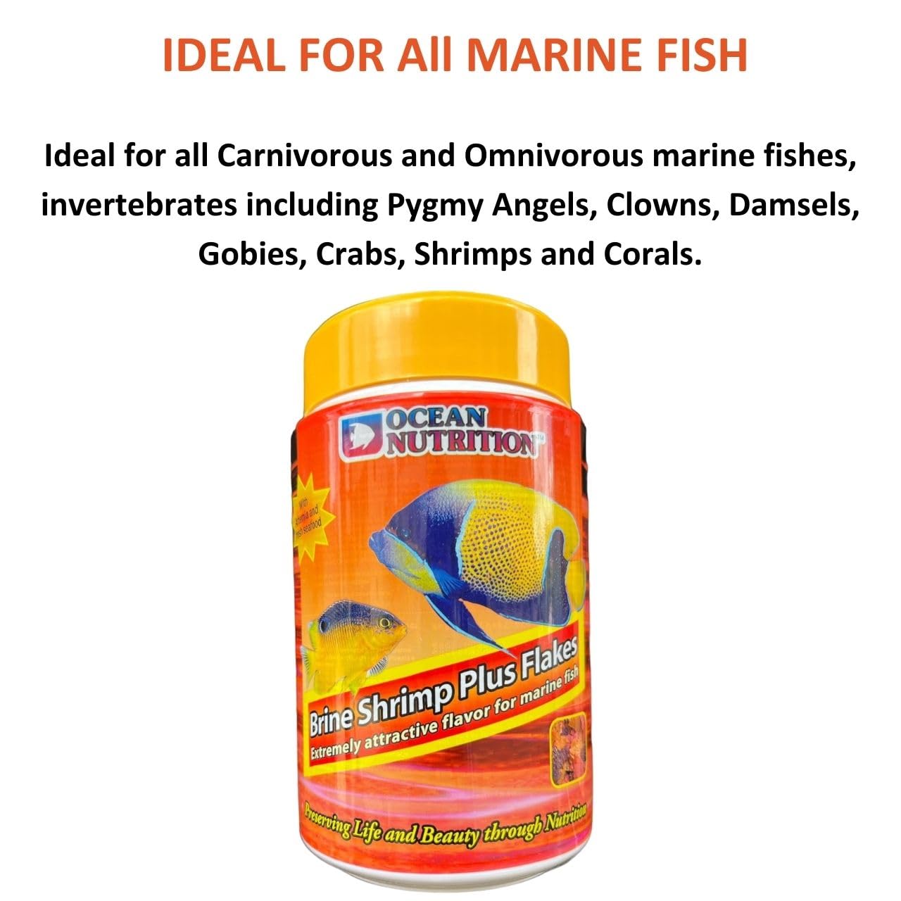 ON+ Brine Shrimp Plus Flakes Fish Food | 156 GMS | Originally from TUNAI Store (156 GMS, Shrimp)