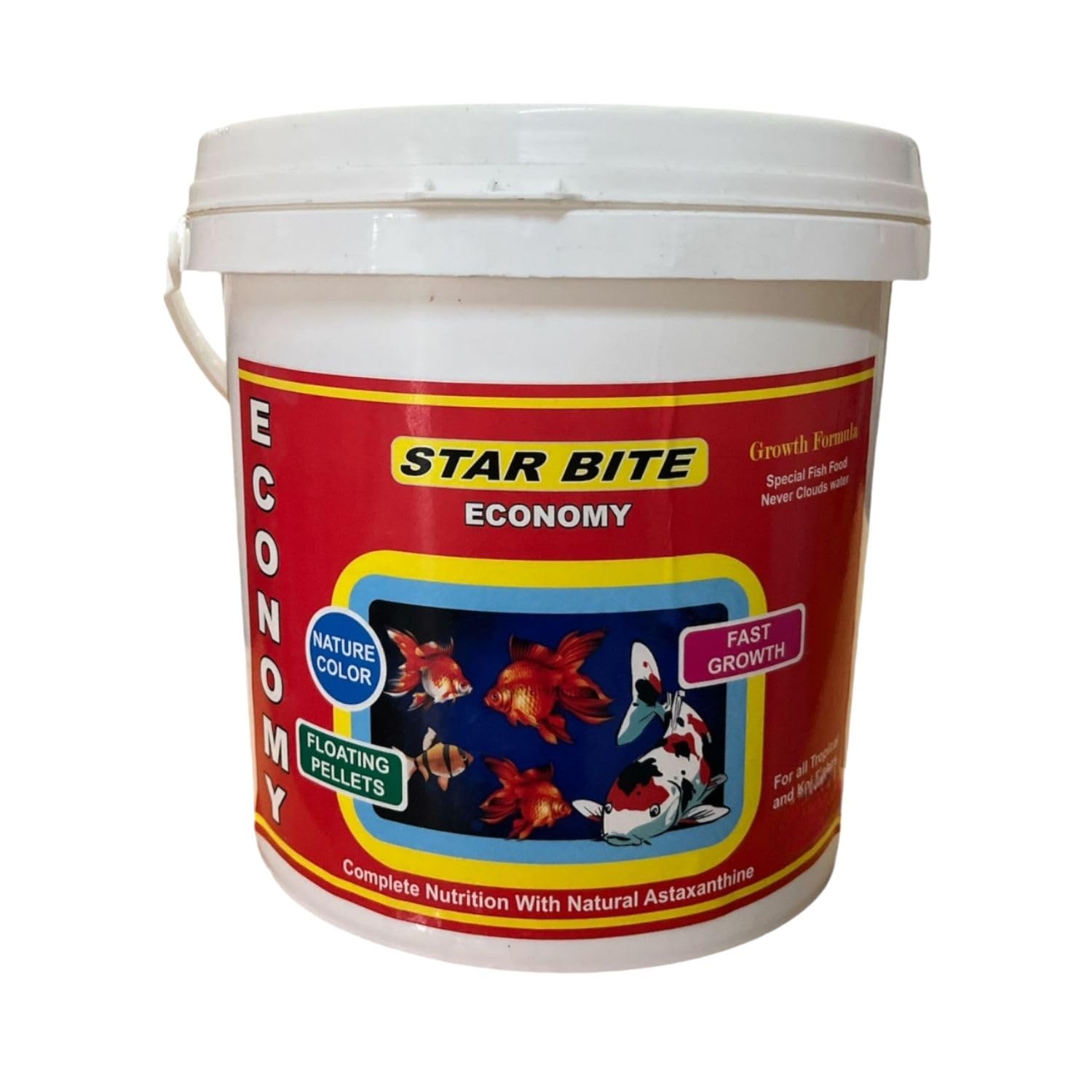 SF+ Star Bite Economy Fish Food | for All Tropical and KOI Fishes | Enhances Color Growth in Fish | Floating Pellets (1.2Kg, Floating Pellets)