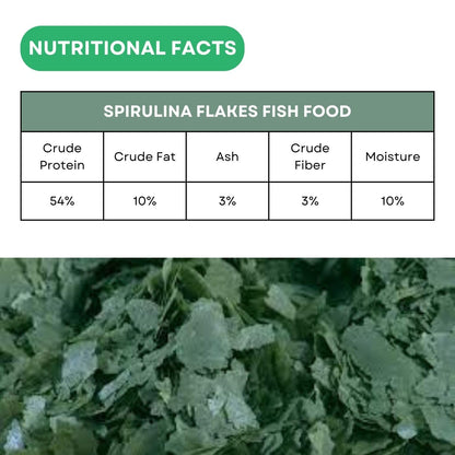 SF+ Spirulina Flakes Fish Food | Nutritional Flake Food for Tetras, Guppies and Shrimps | Originally from TUNAI Store (25gms, Spirulina)