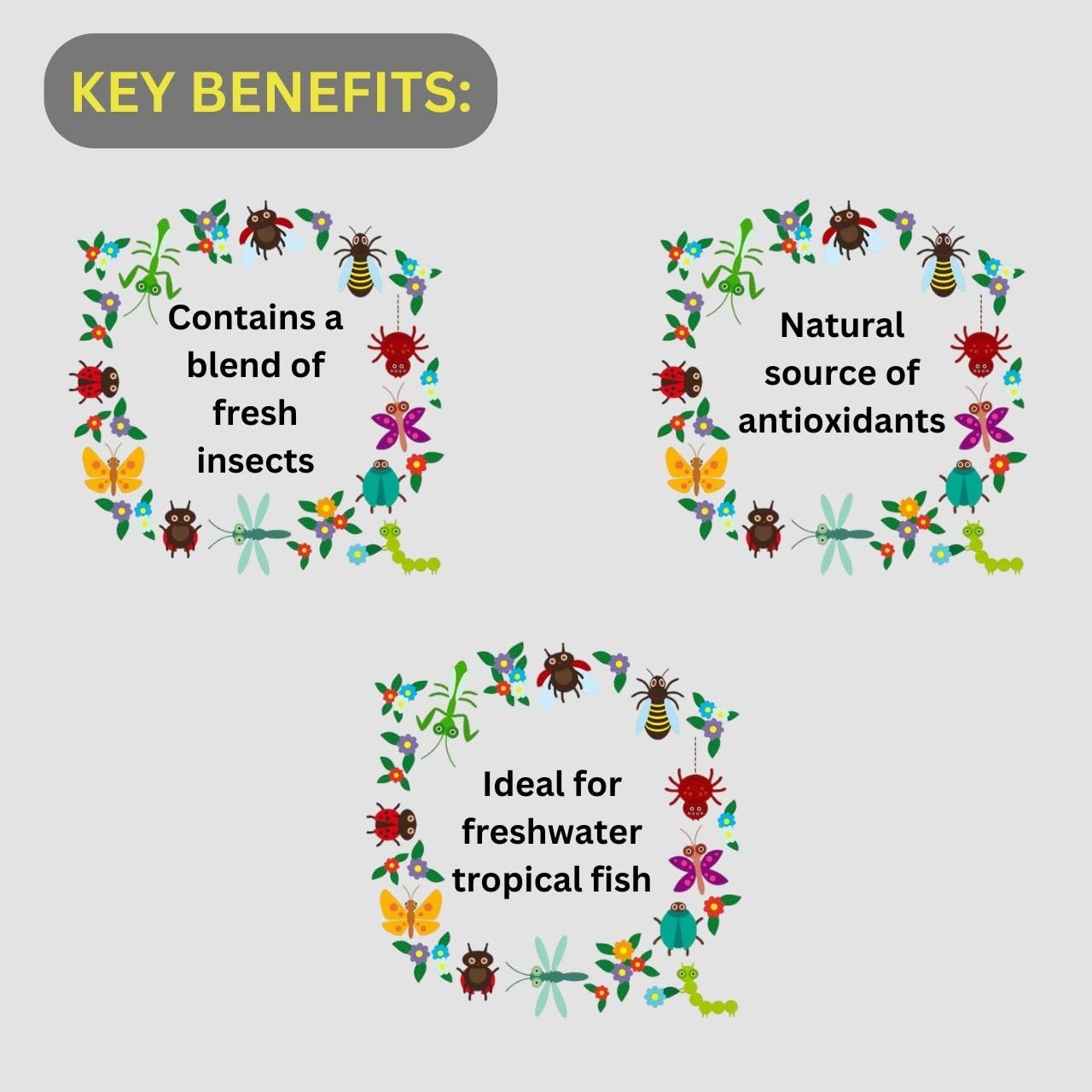 ON+ InsectPro Flakes Fish Food (Original from Tunai Store) | Mimicks The Natural Diet of Most Freshwater Fish (34gms, Flake)