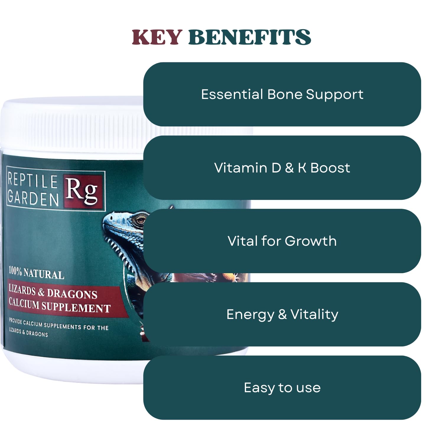 Reptile Garden Lizards & Dragons Calcium Supplement | Strong Bones, Strong Reptiles | 100% Safe & Vet-Approved (100 GMS)