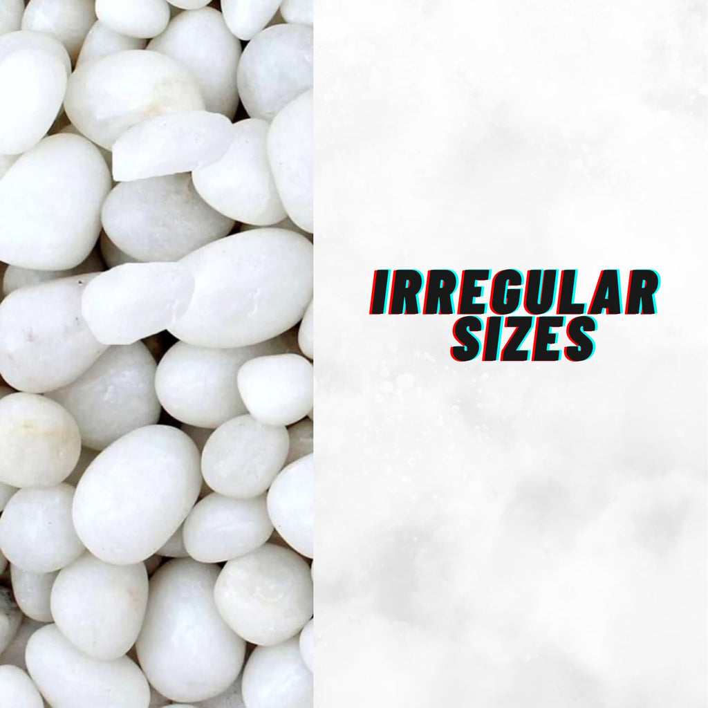 TUNAI Pebble Stones Substrate for Fish Tank, Aquarium, Terrarium, Paludarium (1KG) for Office and Home Decor, Plants and Other Purpose (White, Standard)