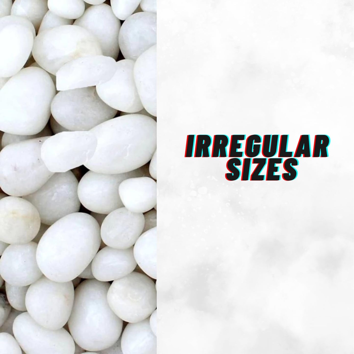 TUNAI Pebble Stones Substrate for Fish Tank, Aquarium, Terrarium, Paludarium (1KG) for Office and Home Decor, Plants and Other Purpose (White, Standard)