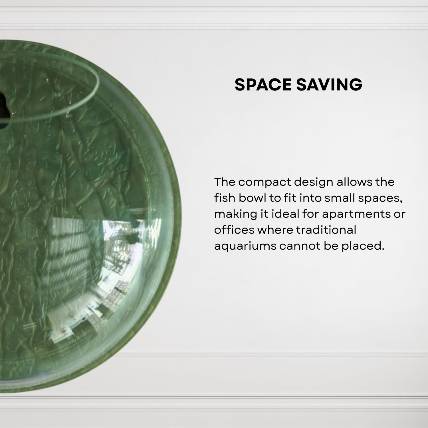 Wall Mount 12-inch Green Round Shape Fish Bowl – Without Stand | Modern Aquarium for Home, Office & Café Décor | Space Saving & Compact Design | Elegant Fish Tank & Plant Terrarium
