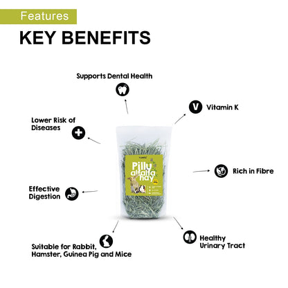 Tunai Pillu Alfalfa Sun Dried Hay for Small Animals Like Rabbit, Hamsters, Lactating Guinea Pigs and White Mice (Alfalfa Hay - 1Kg)