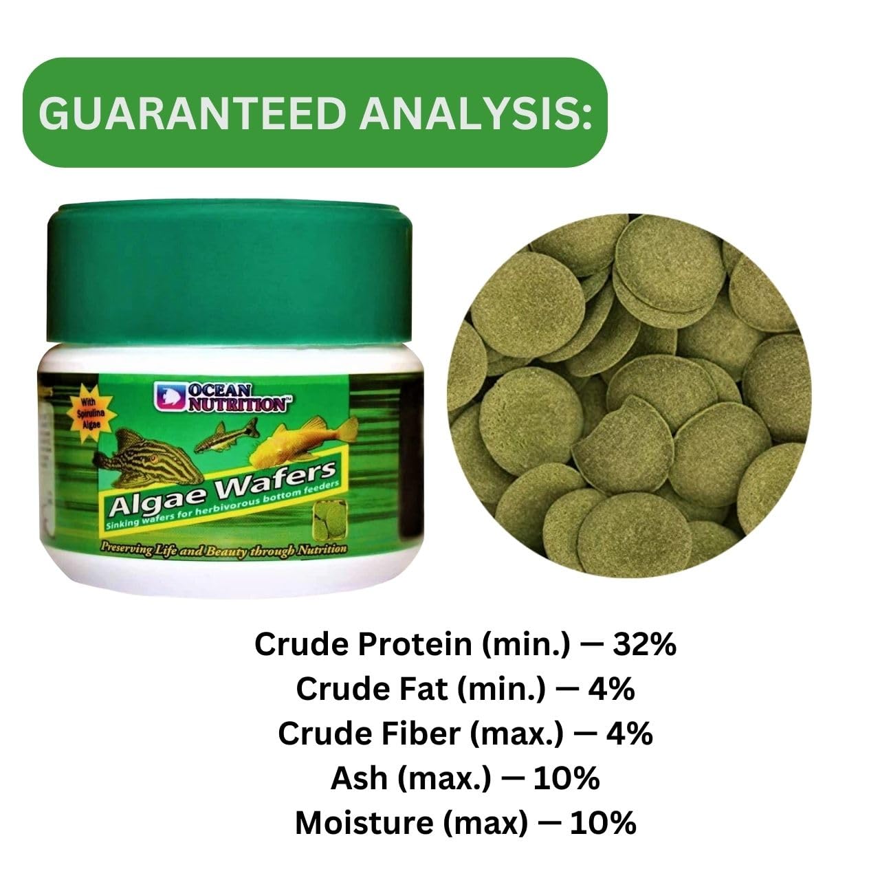 ON+ Algae Wafers Fish Food (Original from Tunai Store) | Sinking Wafers for Herbivorous Bottom Feeders (75gms, Sinking Pellets)