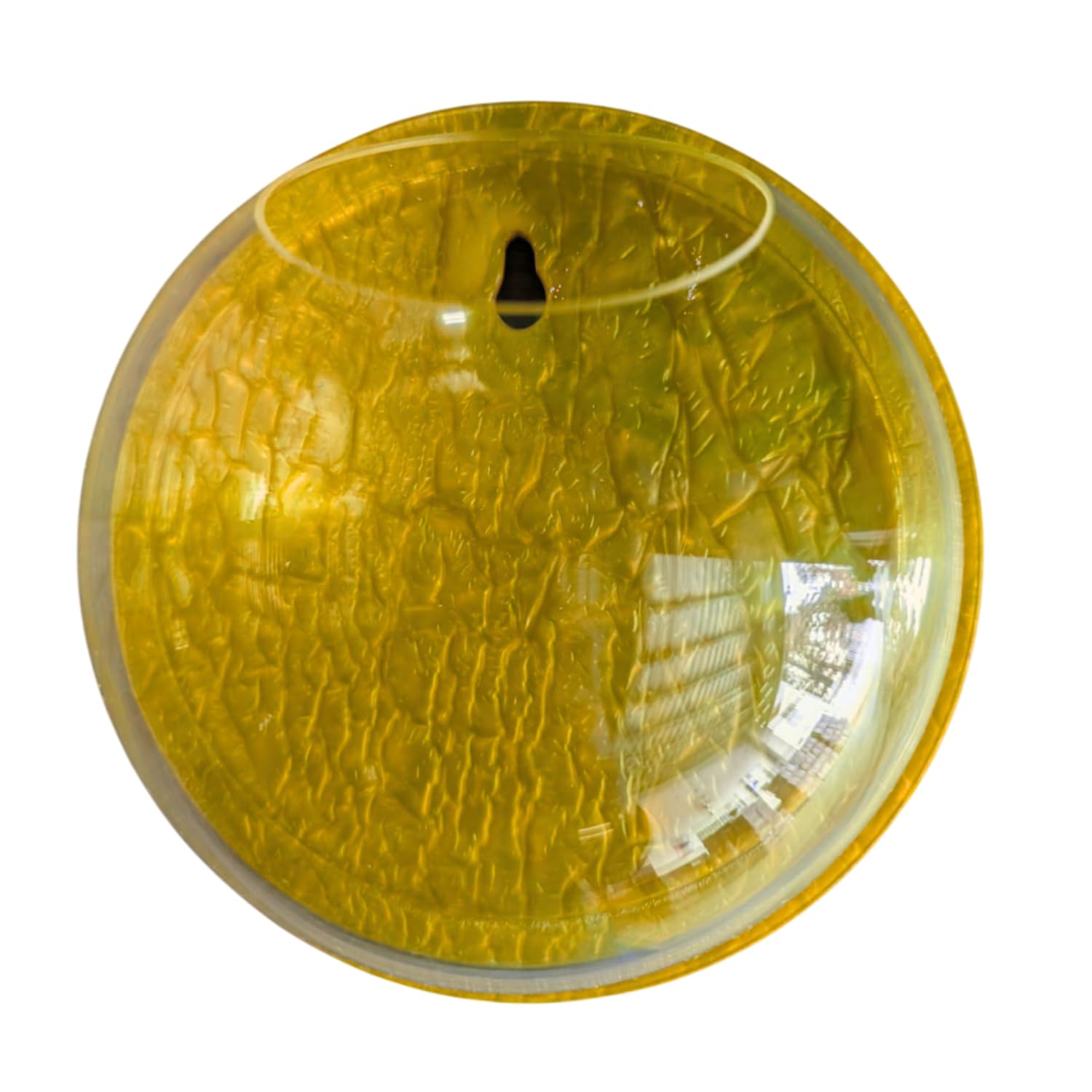 Wall Mount 12-inch Green Round Shape Fish Bowl – Without Stand | Modern Aquarium for Home, Office & Café Décor | Space Saving & Compact Design | Elegant Fish Tank & Plant Terrarium