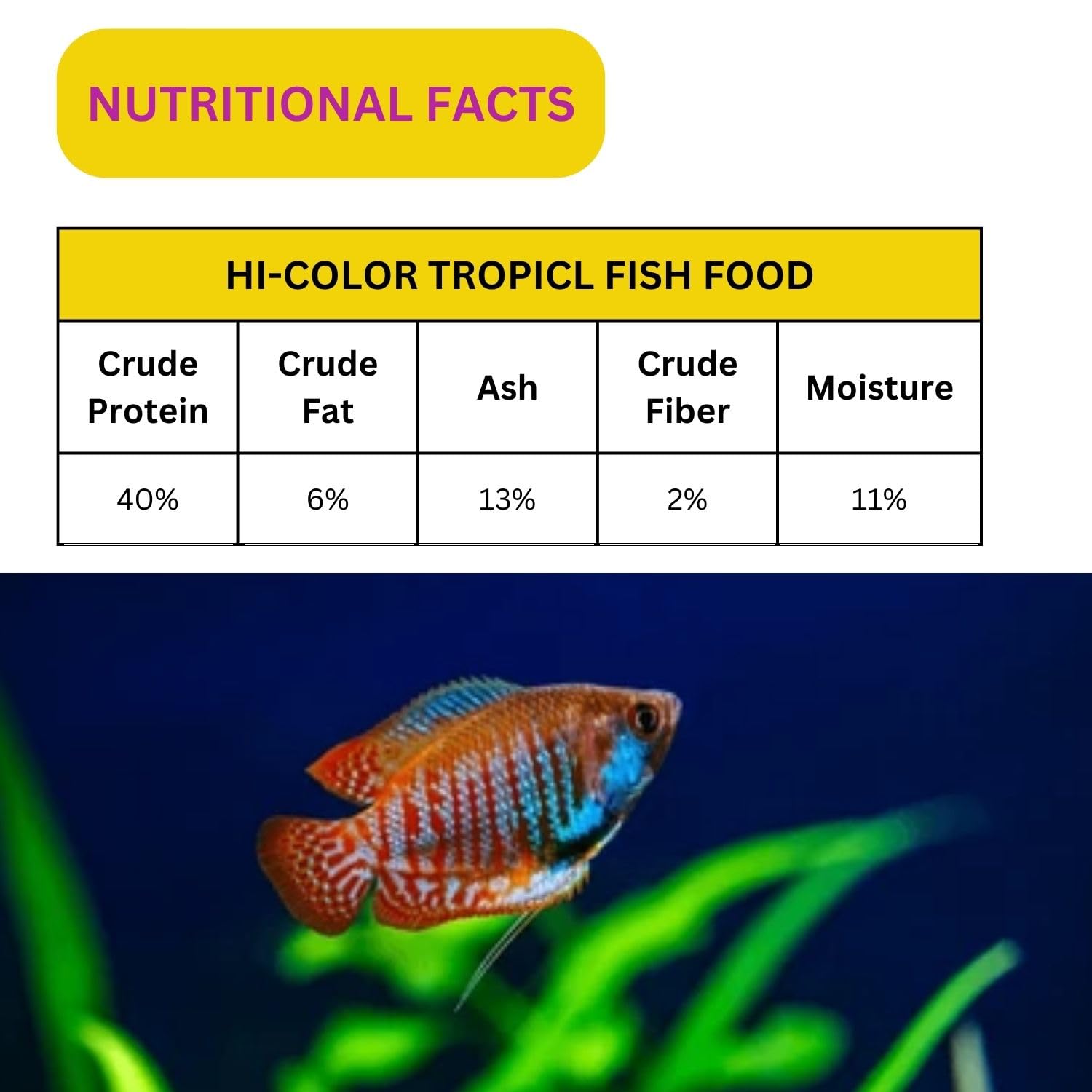 SF+ Hi-Color Tropical Fish Food | Overall Health and Vitality of Tropical Fishes | Originally from TUNAI Store (100gms, Pellets)