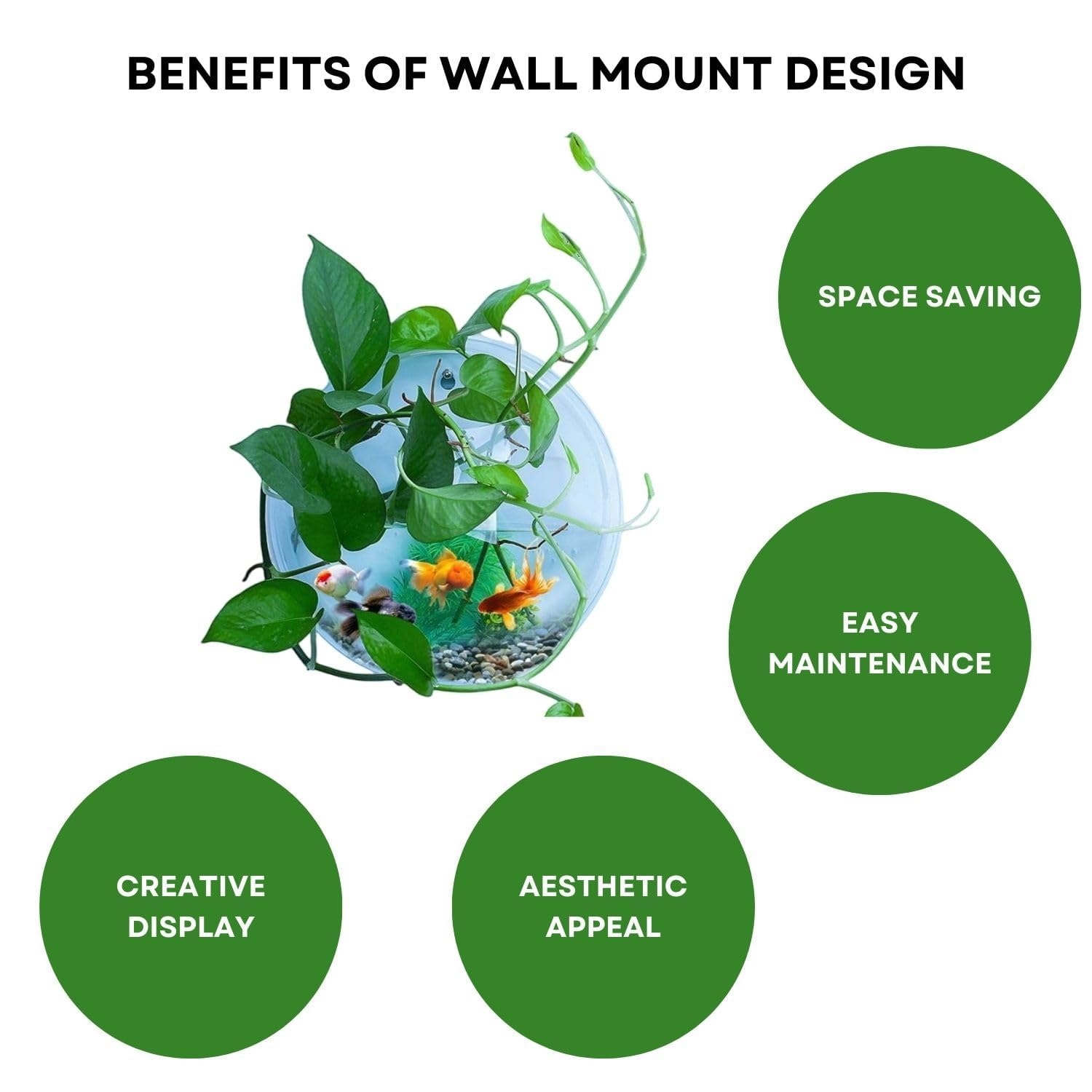 9-inch Wall Mount Hanging Acrylic Aquarium Fish Tank | Suitable for Small Fish & Water Plants | Best Fit for Home & Office Spaces