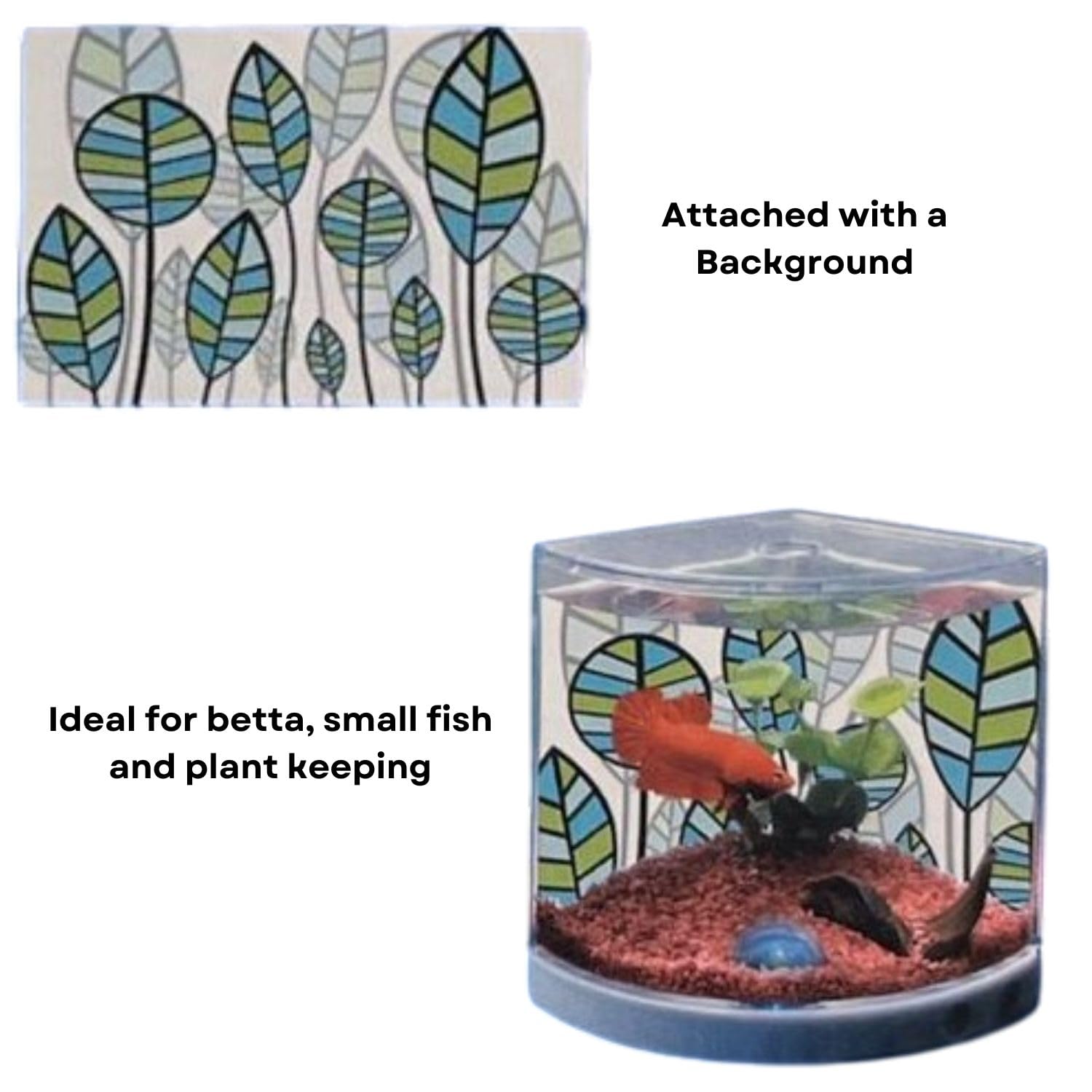TUNAI Dophin T101 Mini Aquarium Fish Tank | Single Light | Elegant And Stylish Design | Ideal For Betta, Small Fish And Plant Keeping | Capacity - 1.4L Fish Tank (Original From Store)