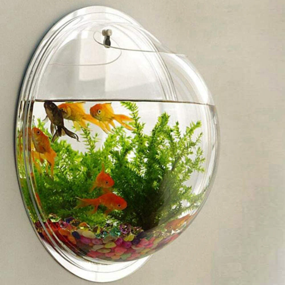 Wall Mount Hanging Acrylic Aquarium Fish Tank | Suitable for Small Fish & Water Plants | Best Fit for Home & Office Spaces | 9-inch