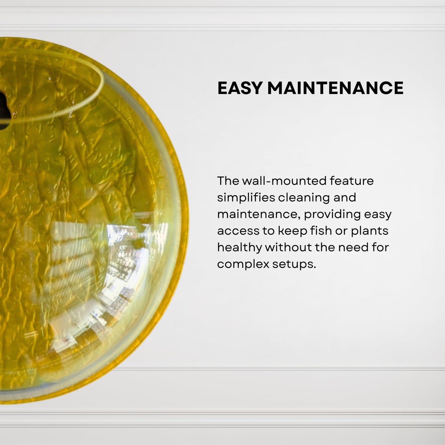 Wall Mount 6-inch Yellow Round Shape Fish Bowl – Without Stand | Modern Aquarium for Home, Office & Café Décor | Compact and Space Saving Design | Elegant Fish Tank & Plant Terrarium