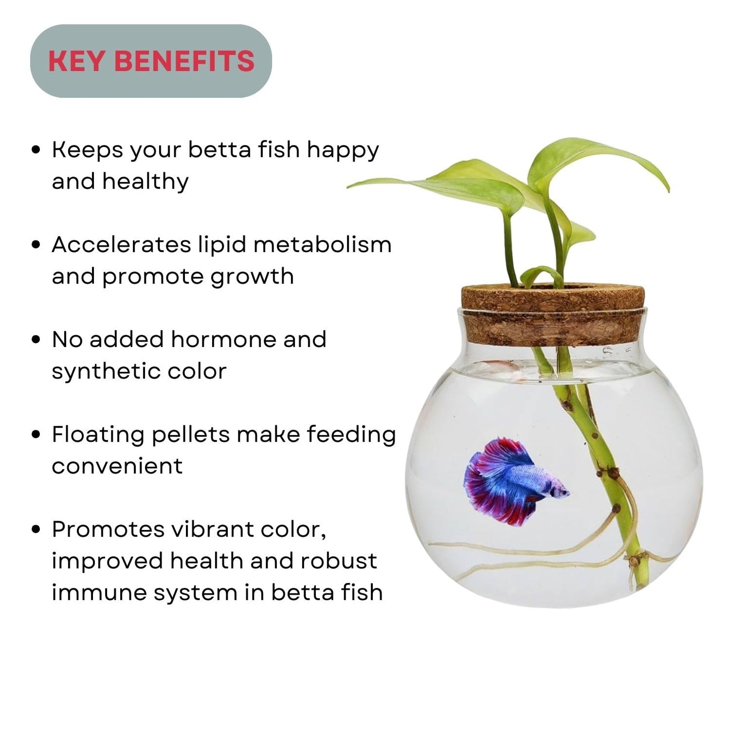 SF+ Red Fin Betta Pellets Fish Food | Specially Formulated for Betta Fish | Originally from TUNAI Store (25gms, Pellets)