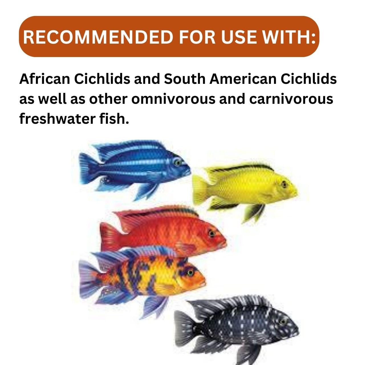 ON+ Cichlid Omni Pellets Fish Food (Original from Tunai Store) | Special Food for Carnivorous and Omnivorous Cichlids (100gms, Small Pellets)