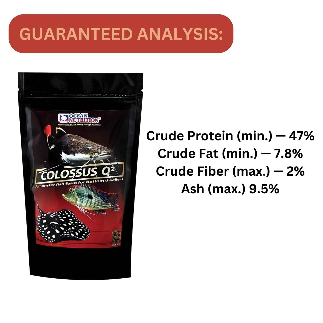 ON+ Colossus Q2 Sinking Protein Sticks Fish Food (Original from Tunai Store) | A Monster Fish Feast for Plecotomus, Cory Cat Fish, Loaches, Freshwater Stingrays (500gms, Sinking Pellets)