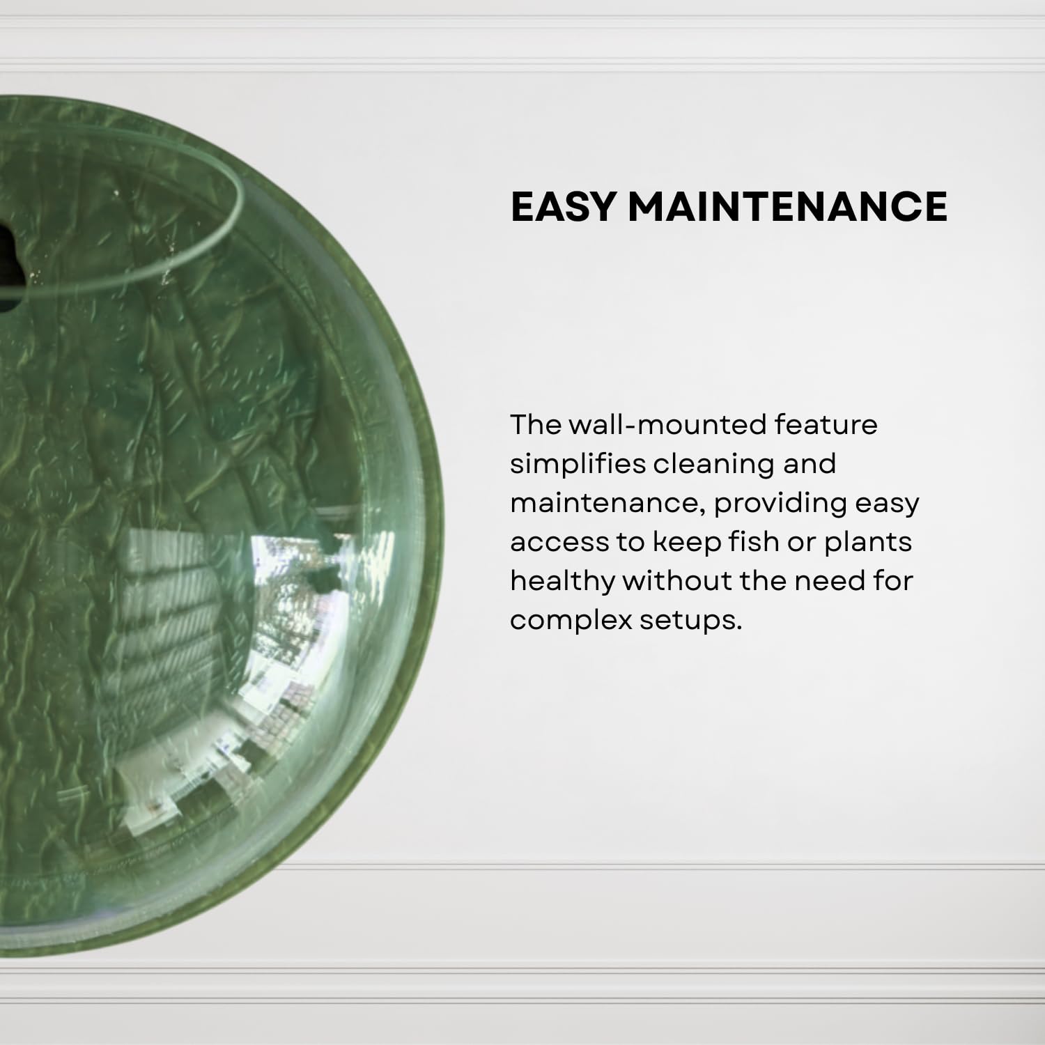 Wall Mount 9-inch Green Round Shape Fish Bowl – Without Stand | Modern Aquarium for Home, Office & Café Décor | Space Saving & Compact Design | Elegant Fish Tank & Plant Terrarium