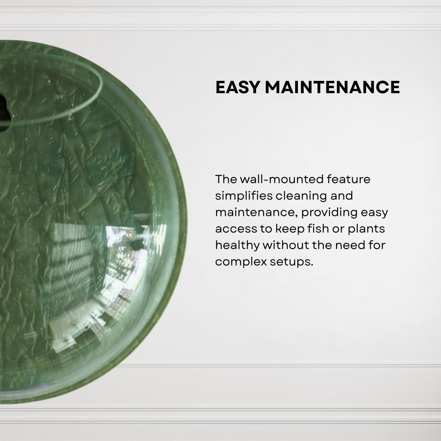 Wall Mount 12-inch Green Round Shape Fish Bowl – Without Stand | Modern Aquarium for Home, Office & Café Décor | Space Saving & Compact Design | Elegant Fish Tank & Plant Terrarium