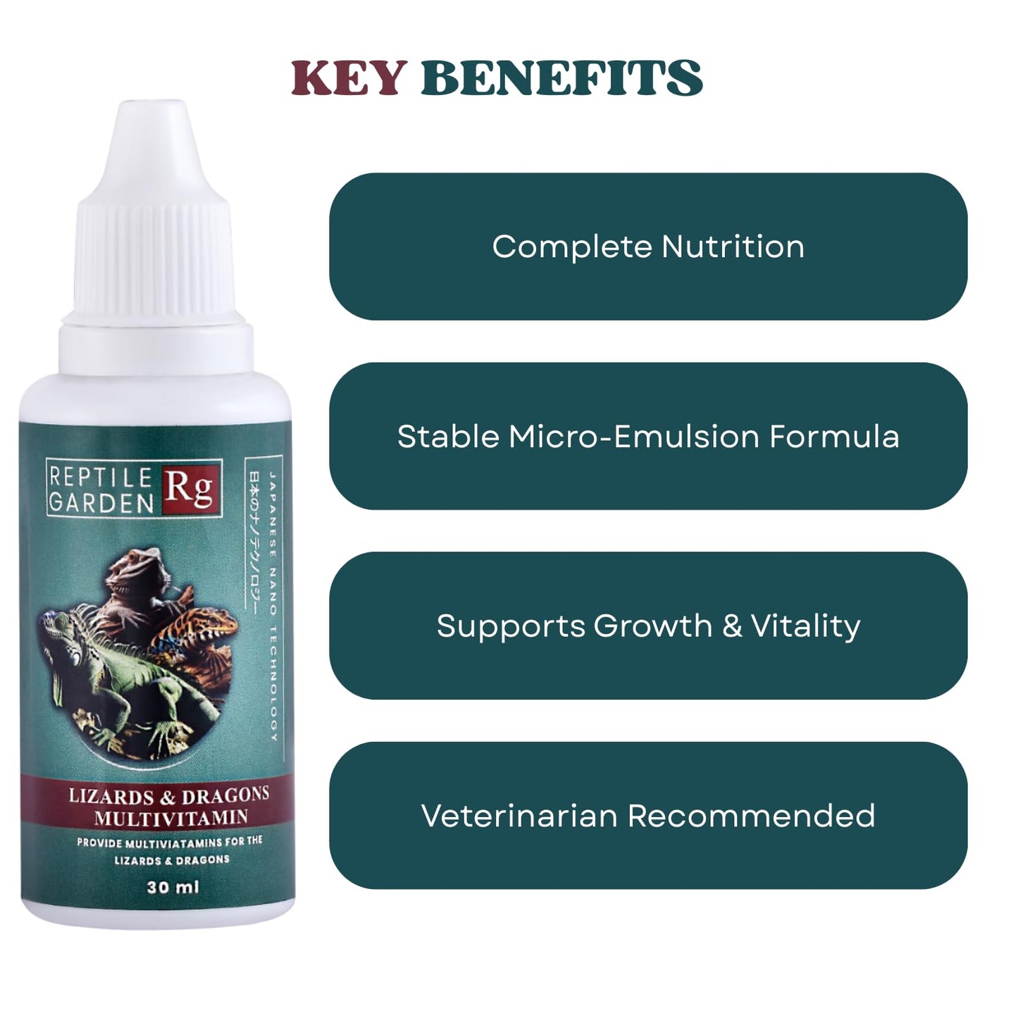 Reptile Garden Lizard and Dragon Multivitamin | Vital Health Support | Ensures Health, Vitality and Development of Your Reptiles (30 ml)