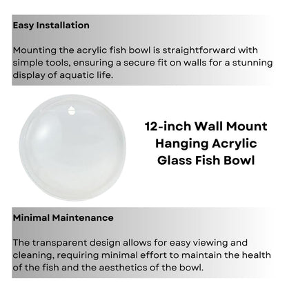 TUNAI Wall Mount Hanging Acrylic Aquarium Fish Tank | Glass 12-Inch Fish Bowl Suitable for Small Fish & Water Plants | Front - Transparent, Base -Multicolor | Best Fit for Home & Office Spaces